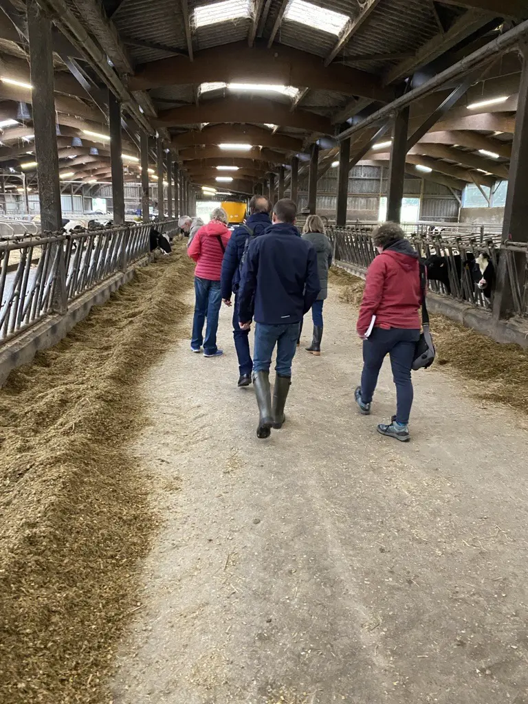 Image par défaut illustrant le propos de l'article Premier anniversaire du partenariat Agrial & Savencia pour une filière laitière décarbonée ! Terroirs de lait