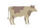 pictogramme vache