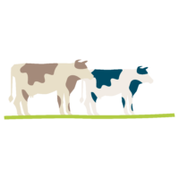 pictographie de vaches de profil