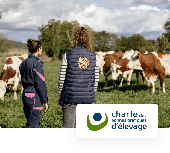 Image par défaut illustrant le propos de la page Améliorer notre empreinte carbone Terroirs de lait